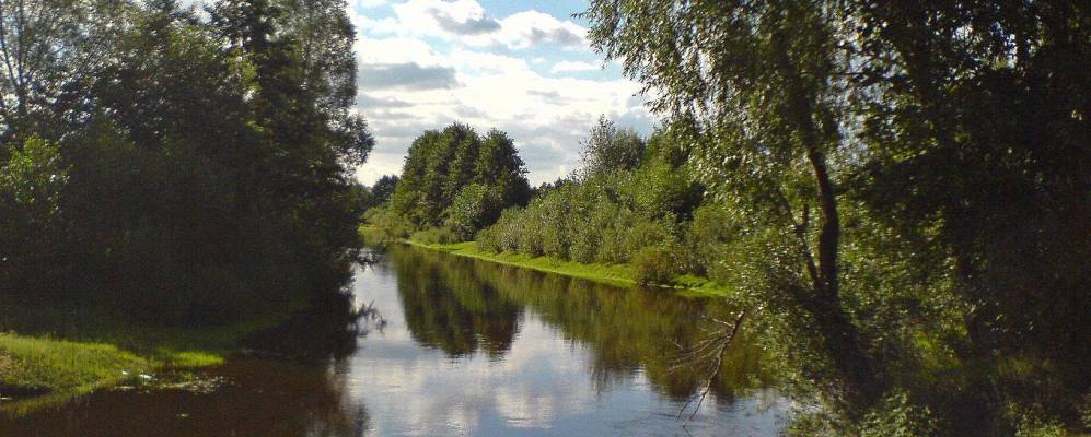 
            Фотография Дворца