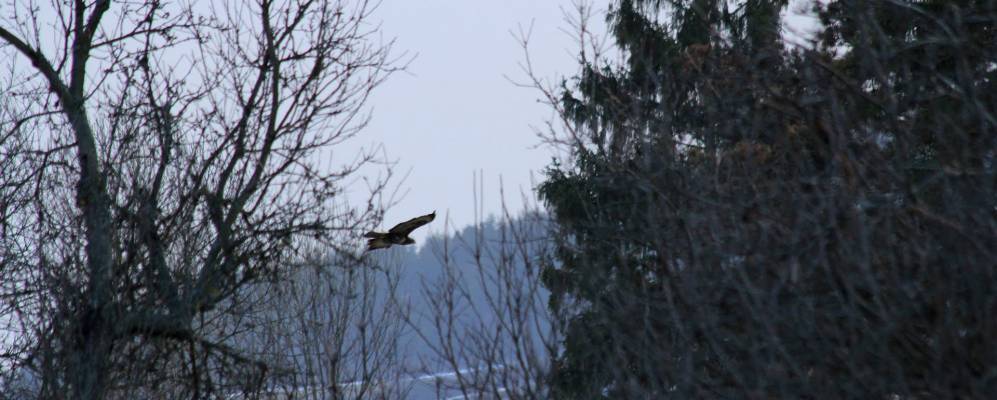 
            Фотография Клэче