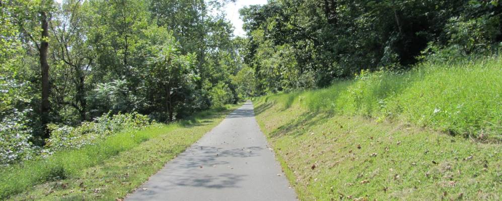 
            Фотография Олд Орчарда