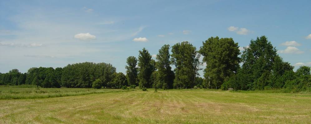 
            Фотография Погубятичей