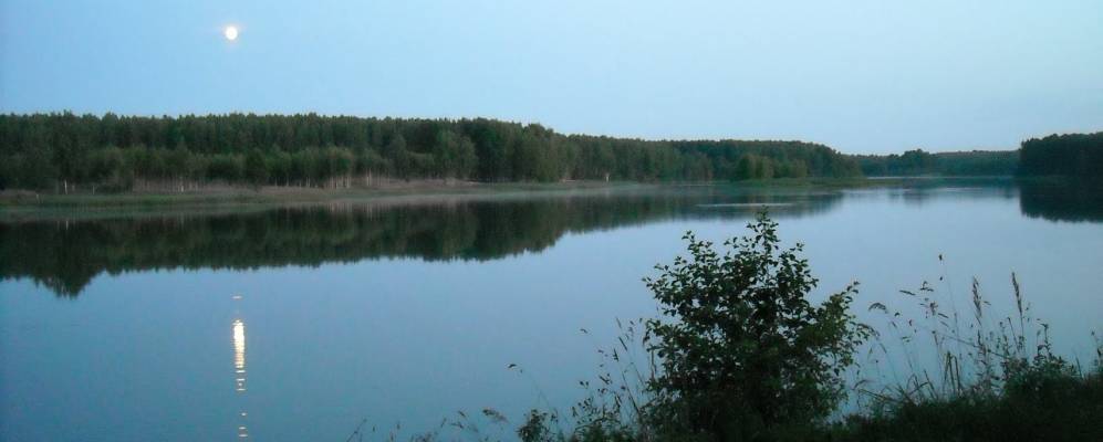 
            Фотография Мамкино