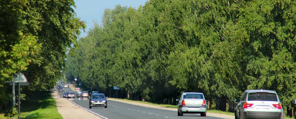 
            Фотография Подосья