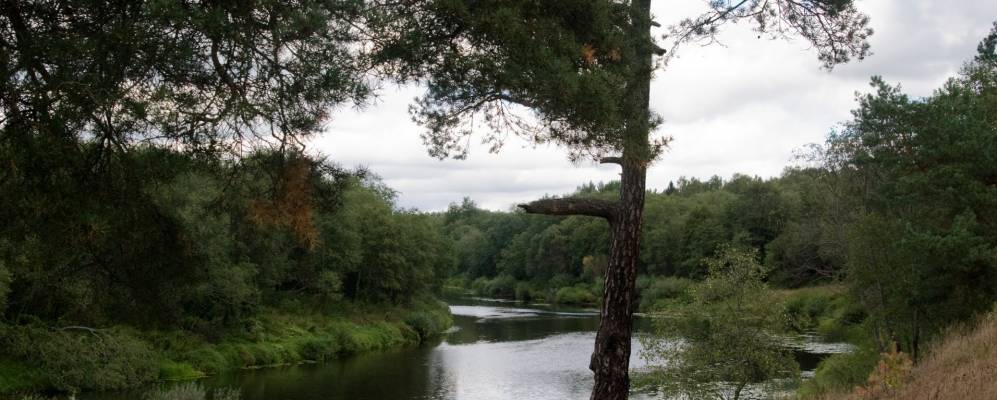 
            Фотография Комбайна