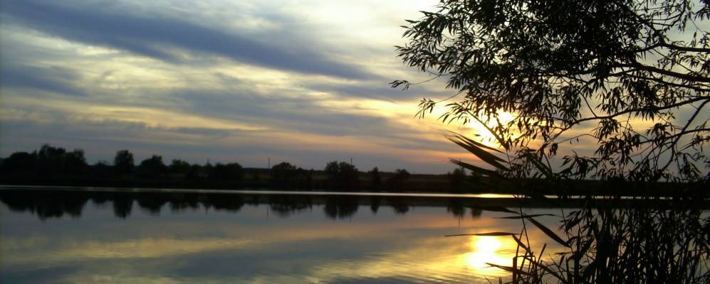 
            Фотография Головища