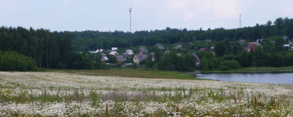 
            Фотография Шильцов