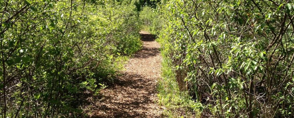 
            Фотография Оллендэйла