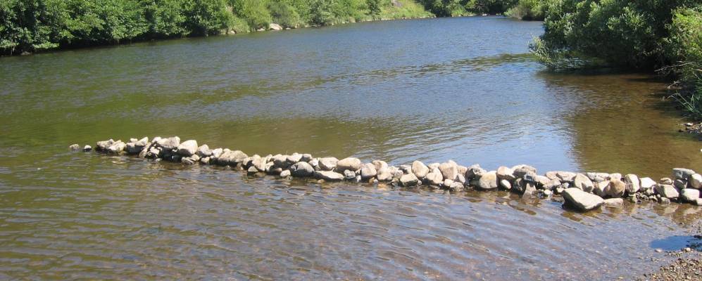 Фотография Озы