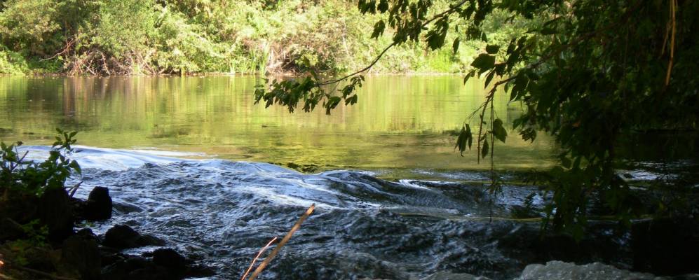 
            Фотография Лебедево