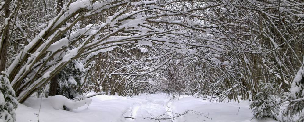
            Фотография поселка Воровского