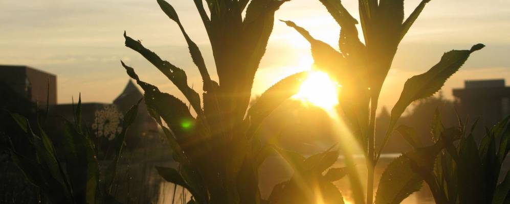 
            Фотография Сидарвилла