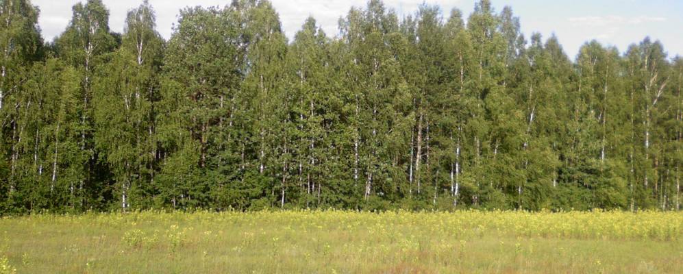 
            Фотография Свободного Труда