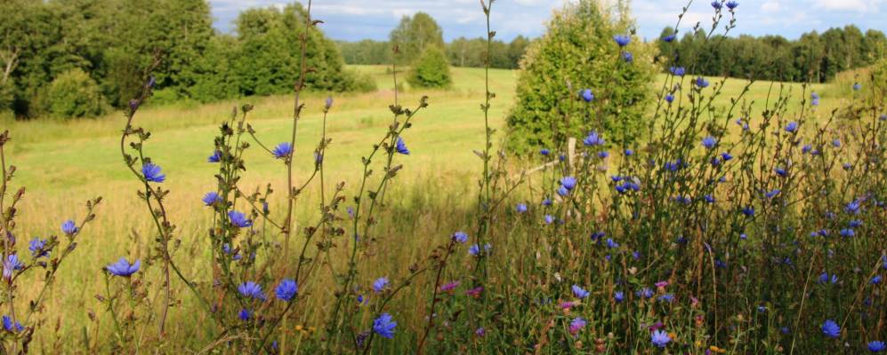 
            Фотография Данилково