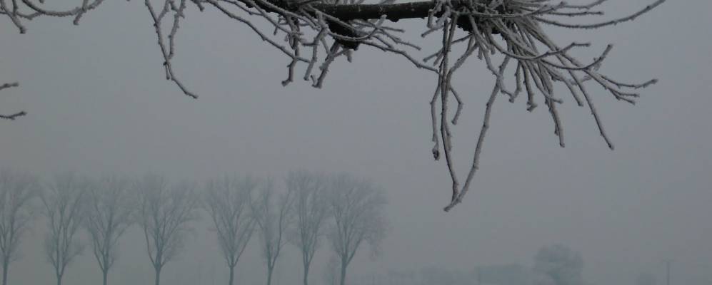 
            Фотография Резера