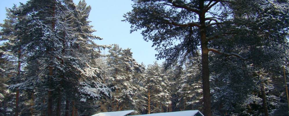 
            Фотография Рощино