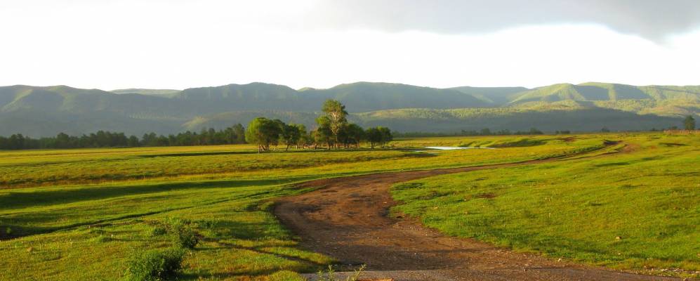 
            Фотография Торов