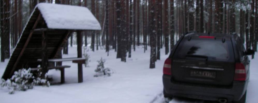 
            Фотография Попчихи