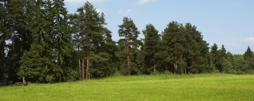 Фотография Пичугино