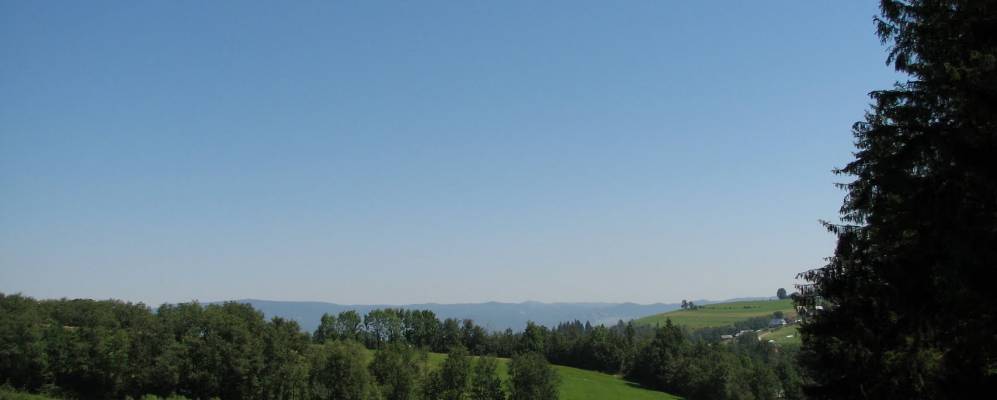 
            Фотография Грона