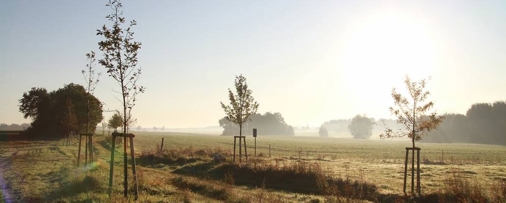 
            Фотография Thulendorf