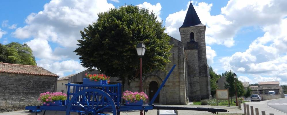 
            Фотография Ардийё