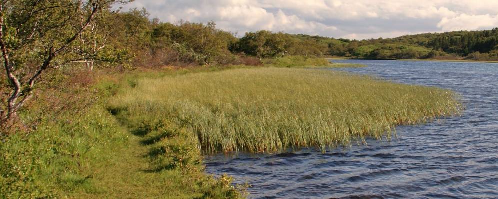 Фотография Эйдара