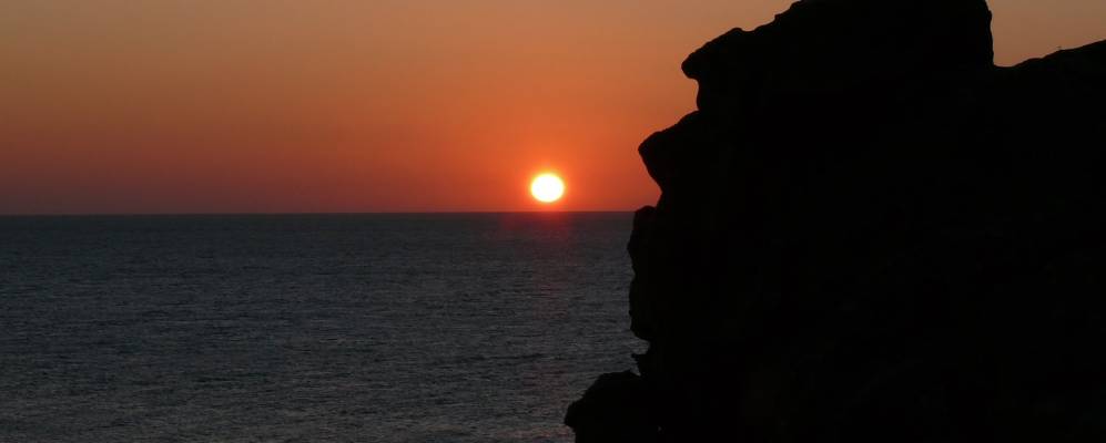 
            Фотография Меиса