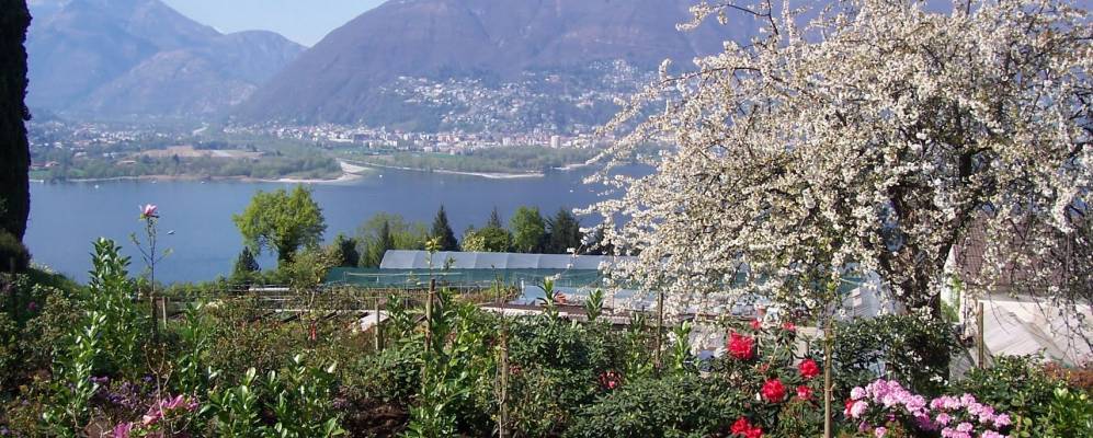 
            Фотография Пиацогна