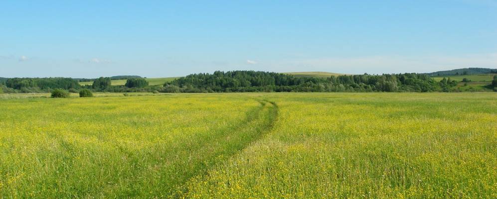 
            Фотография Березовки