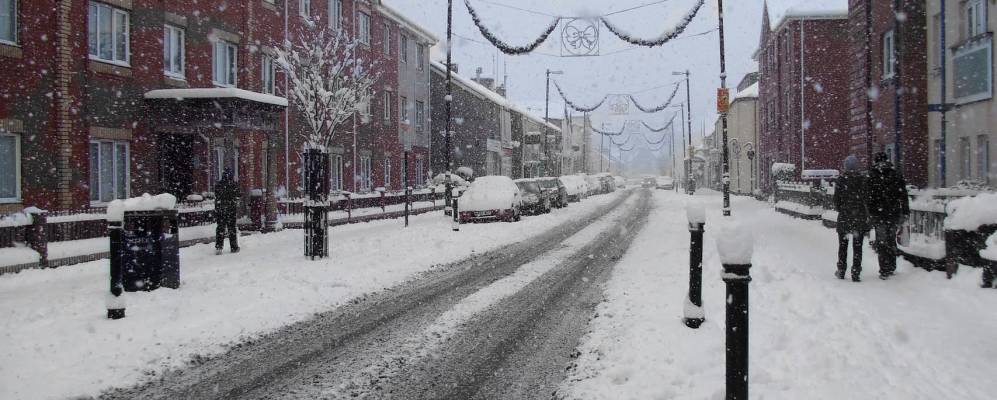 
            Фотография Нита