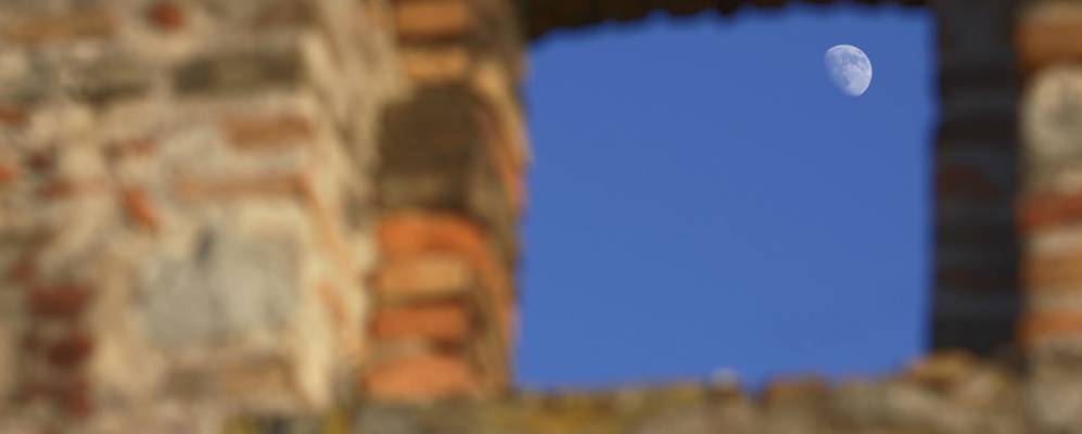 
            Фотография Девина