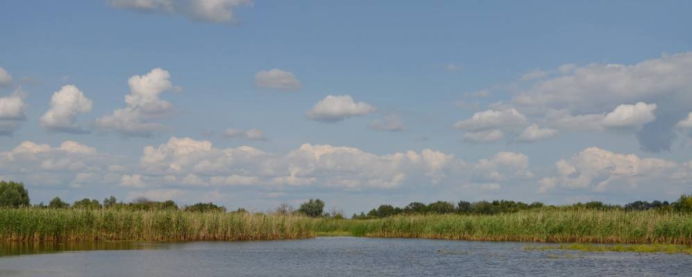
            Фотография Петровцы