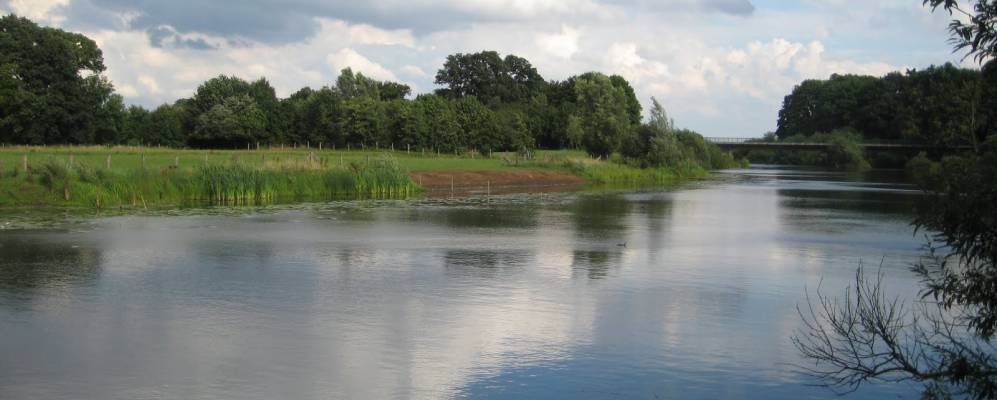 
            Фотография Альдена