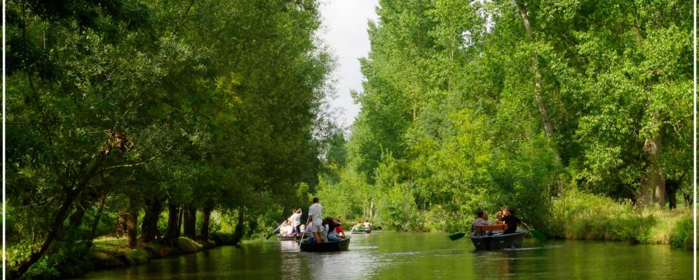 
            Фотография Кулона