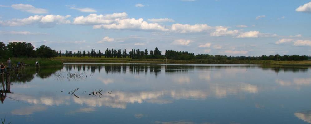 
            Фотография Соленого