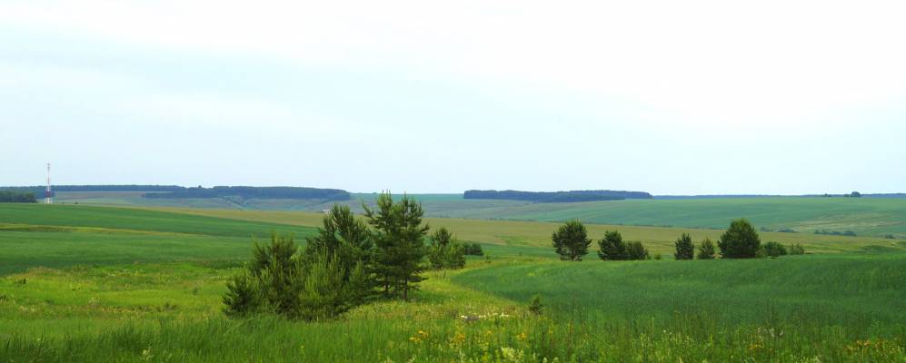 
            Фотография Уньбы