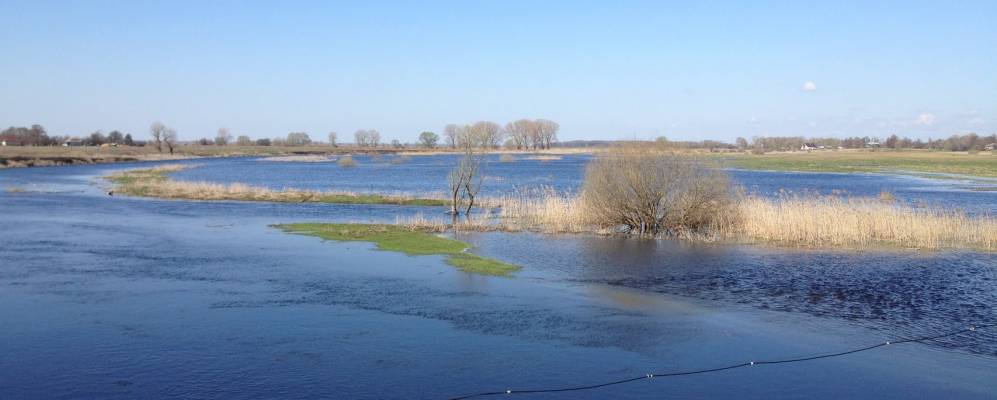 
            Фотография Новой Гребли