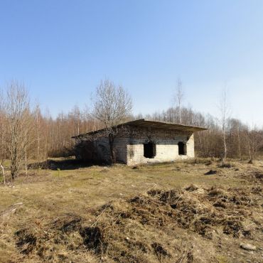 Тасинский Бор