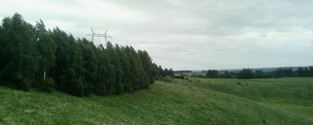 
            Фотография Кушни