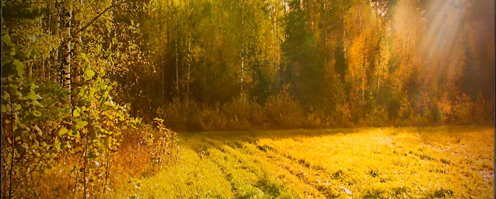 Фотография Песочного