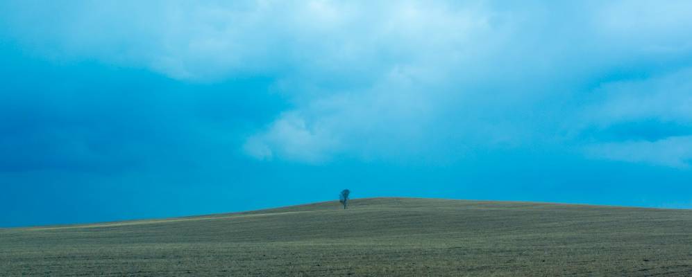 
            Фотография Бозоя