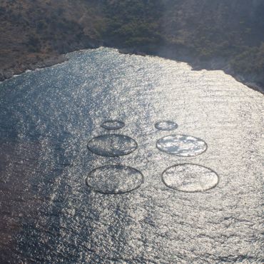 Мегалохори