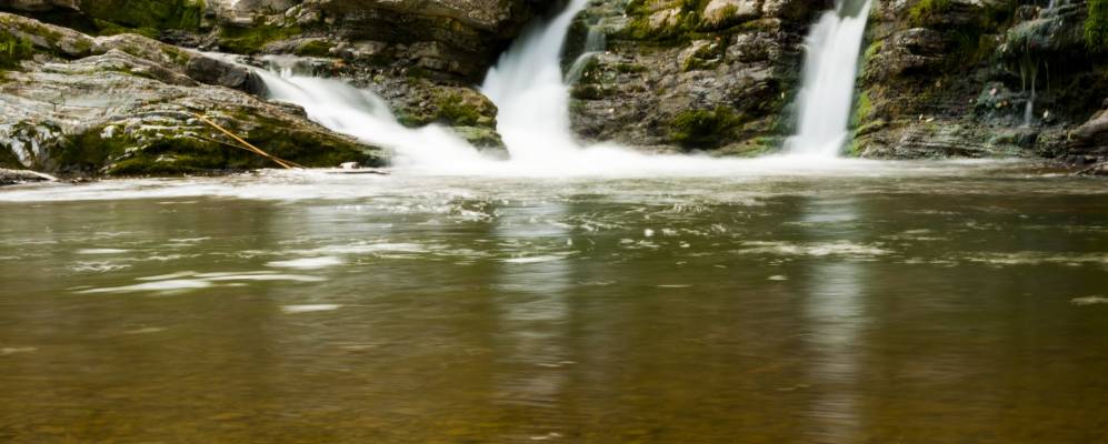 
            Фотография Станковцы