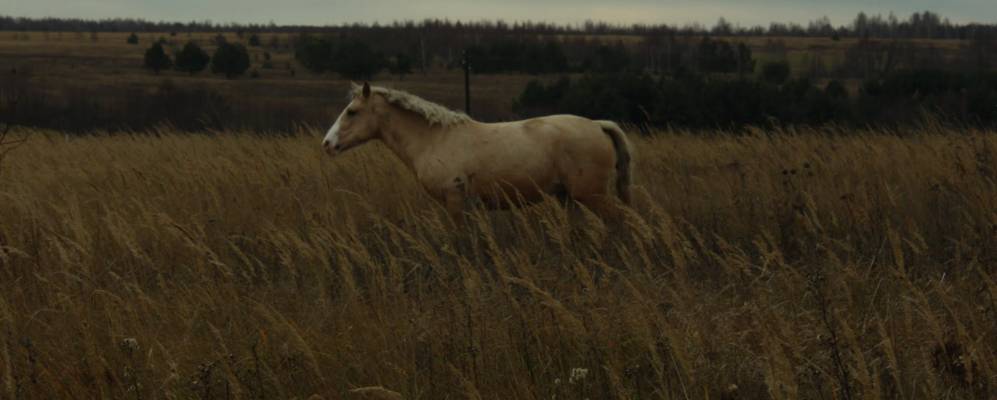 Фотография Мелекшино-Выселок