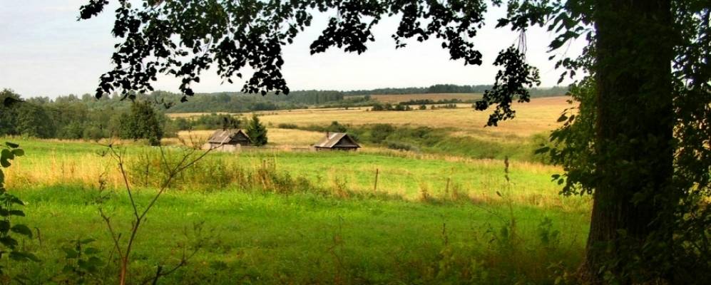 
            Фотография Нестеровки