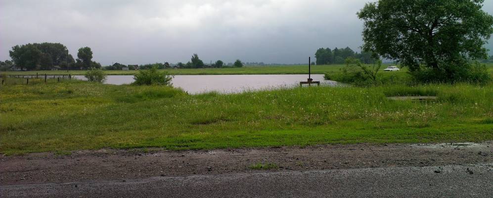 
            Фотография Ветки