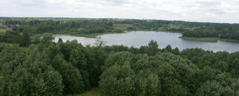 невельский уезд витебская губерния. деревня мосеево псковская область. позиции всу под невельским. мосеево старицкий район. деревня паникли невельский район псковская область.