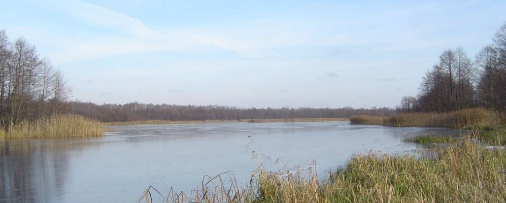 
            Фотография Симоновo