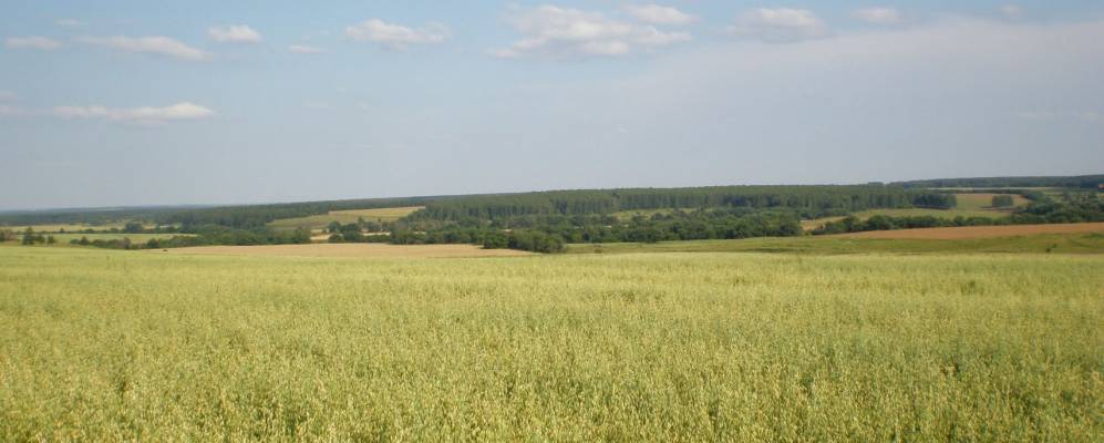 
            Фотография деревни Курасова