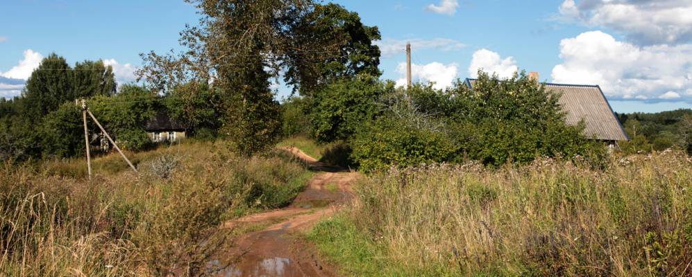 
            Фотография Щелково