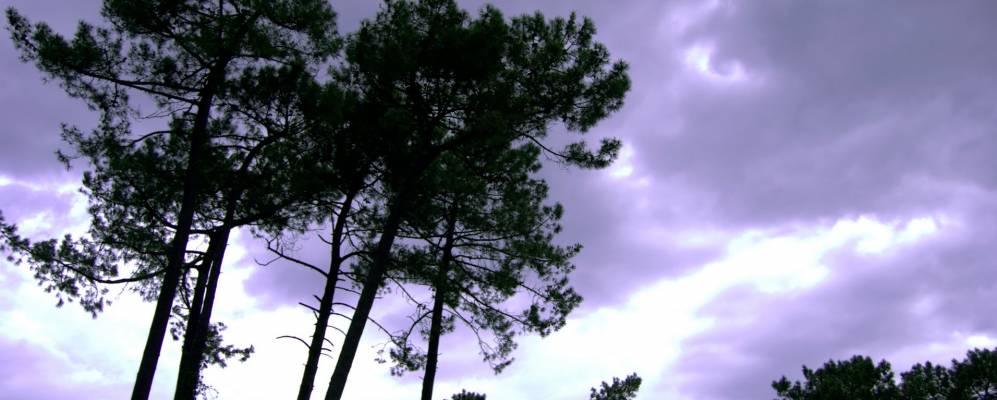 
            Фотография Сеньоса